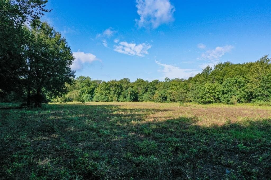 147.06 acres in Leon County - photo 39