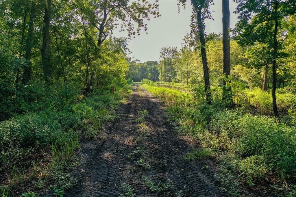 147.06 acres in Leon County - photo 12