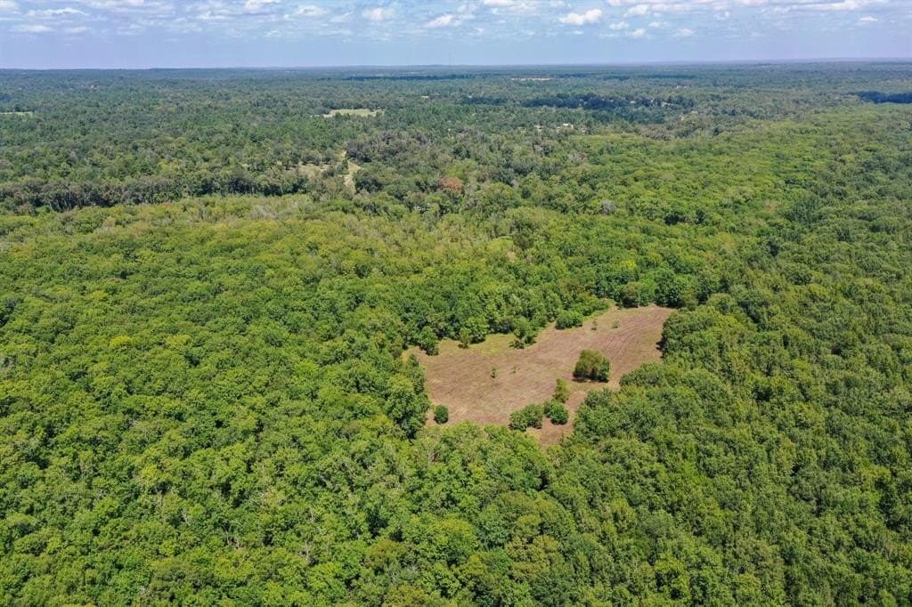 147.06 acres in Leon County - photo 28