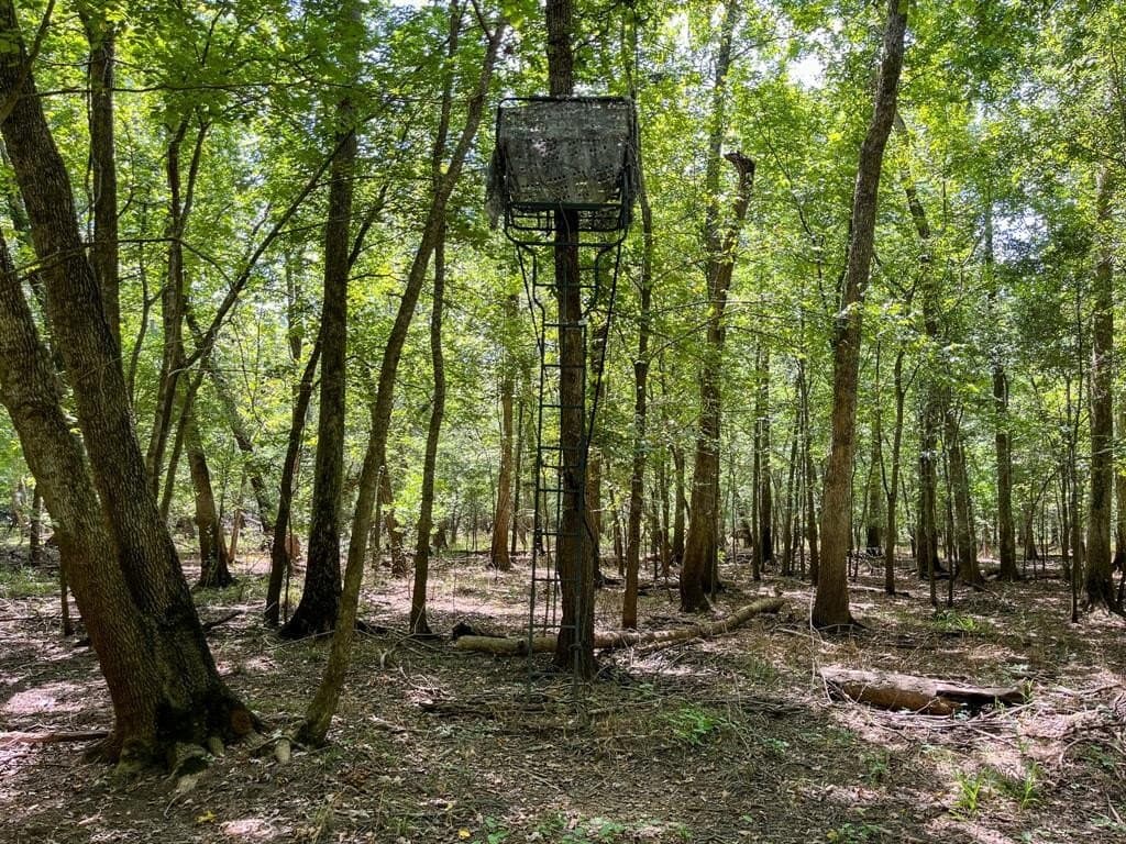 147.06 acres in Leon County - photo 7
