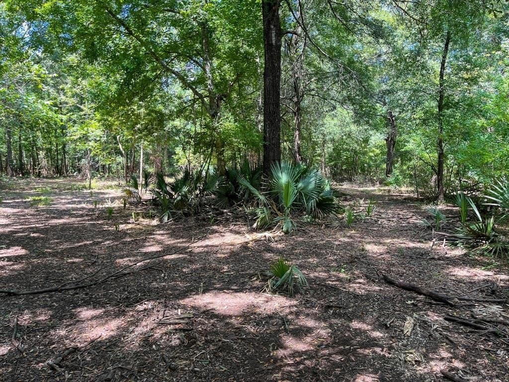147.06 acres in Leon County - photo 30