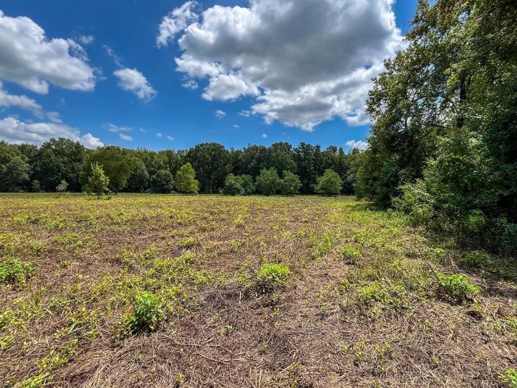 147.06 acres in Leon County - photo 26