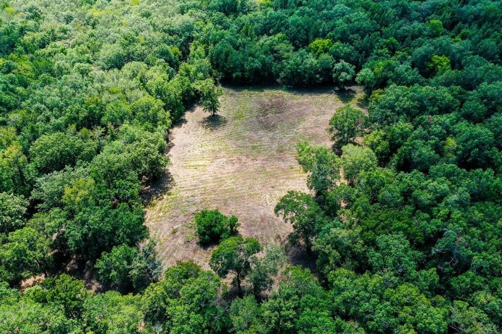 147.06 acres in Leon County - photo 32