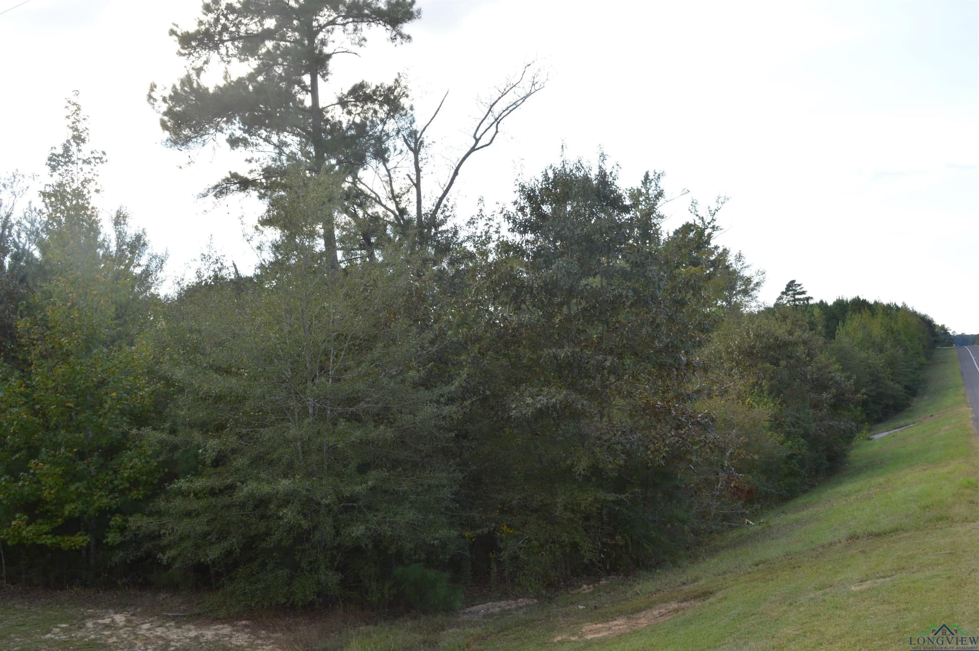 14.25 acres in Texas County - photo 2