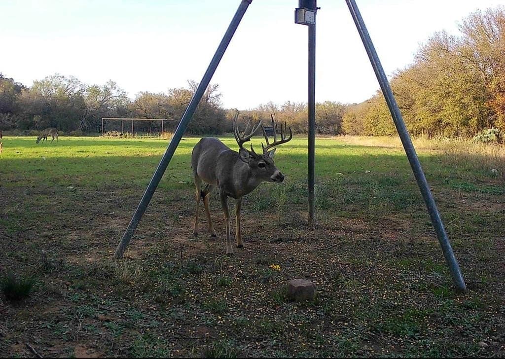 14.14 acres in Erath County - photo 21