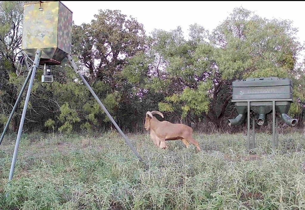 14.14 acres in Erath County - photo 19