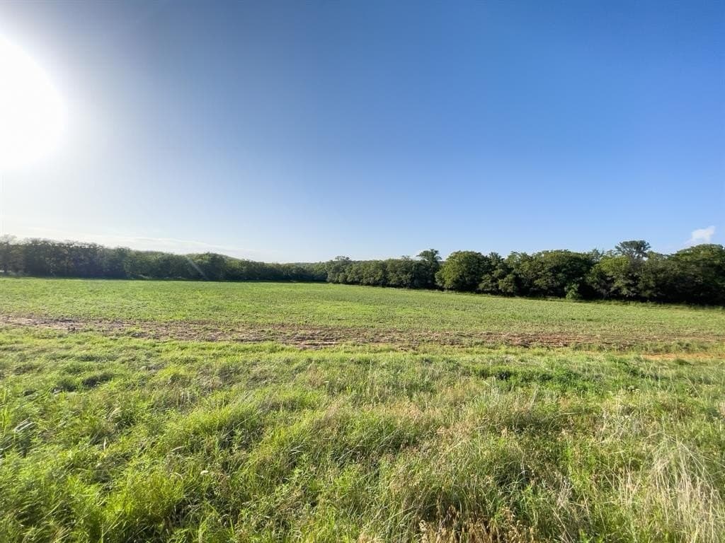 14.14 acres in Erath County - photo 28