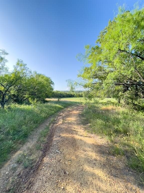 14.14 acres in Erath County - photo 16