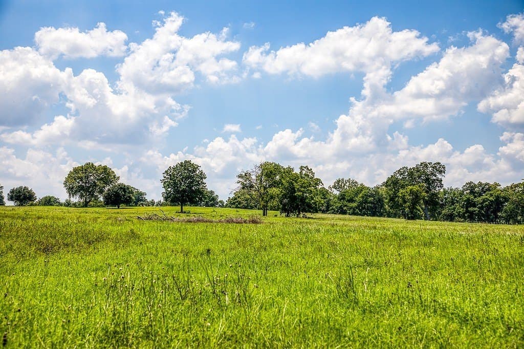 69.51 acres in Washington County - photo 3