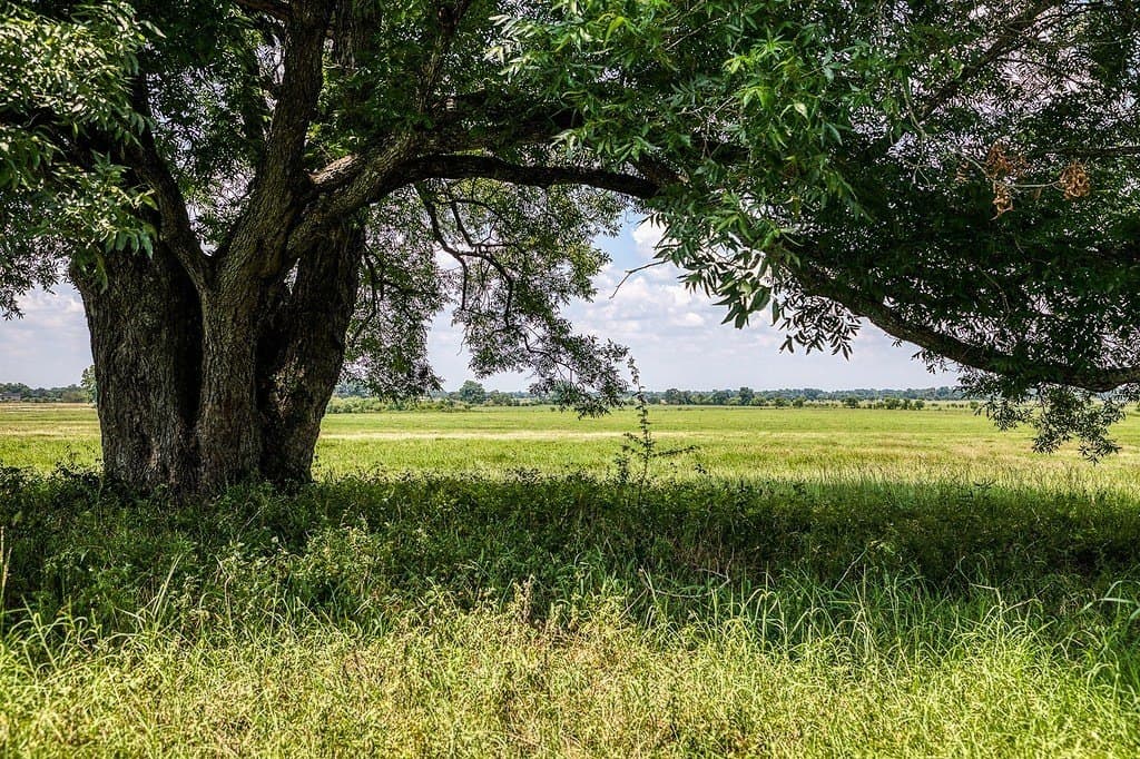 69.51 acres in Washington County - photo 4