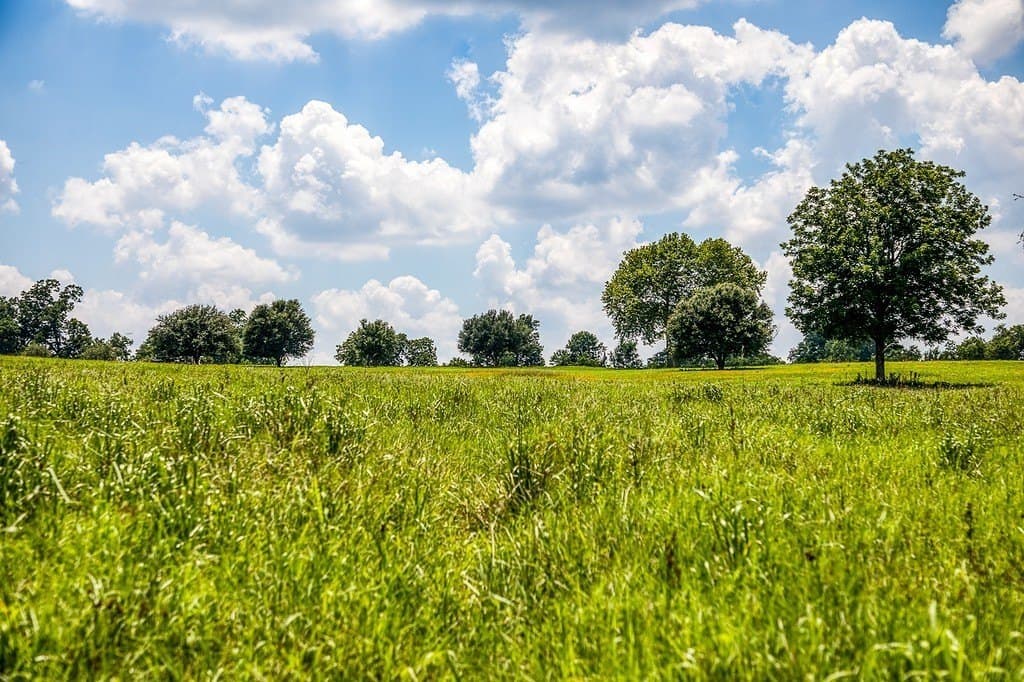 69.51 acres in Washington County - photo 5