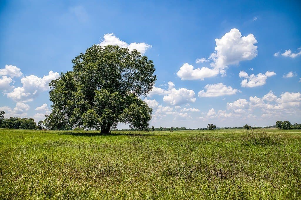 69.51 acres in Washington County - photo 2