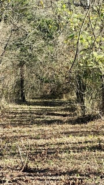 13.58 acres in Fannin County - photo 18