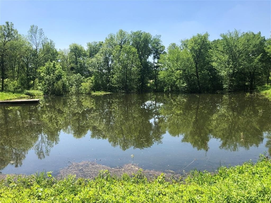 13.58 acres in Fannin County - photo 2
