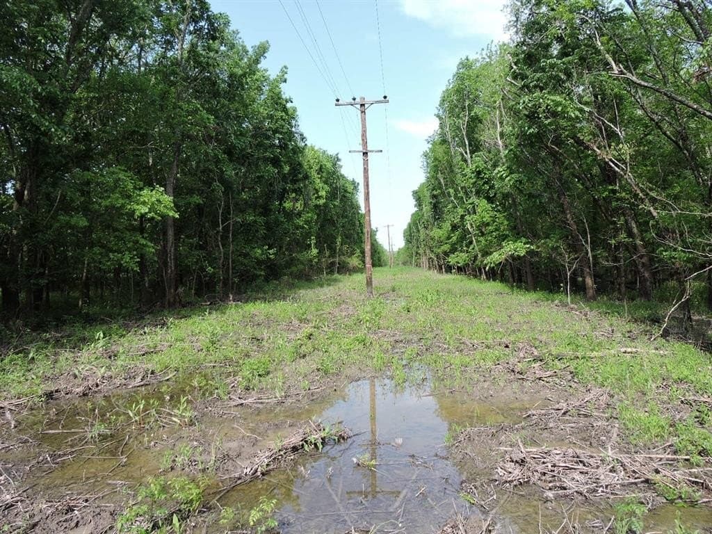 13.58 acres in Fannin County - photo 12