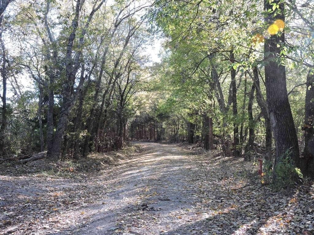 13.58 acres in Fannin County - photo 8