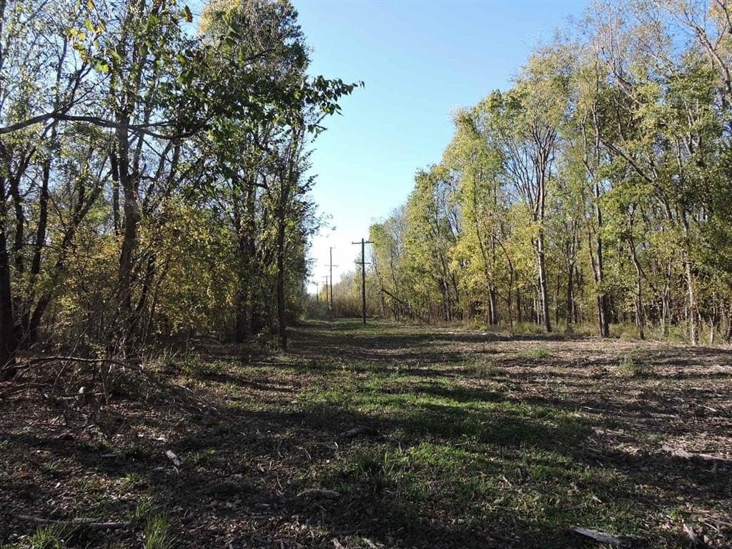 13.58 acres in Fannin County - photo 11