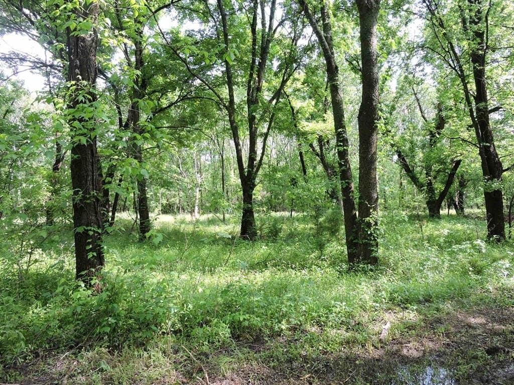 13.58 acres in Fannin County - photo 3