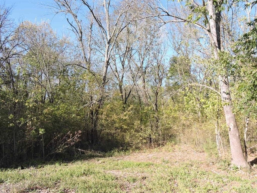 13.58 acres in Fannin County - photo 21