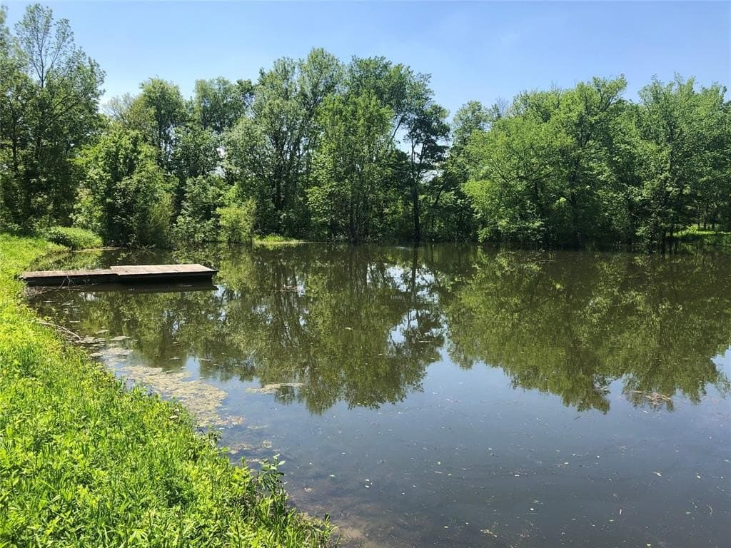 13.58 acres in Fannin County - photo 4