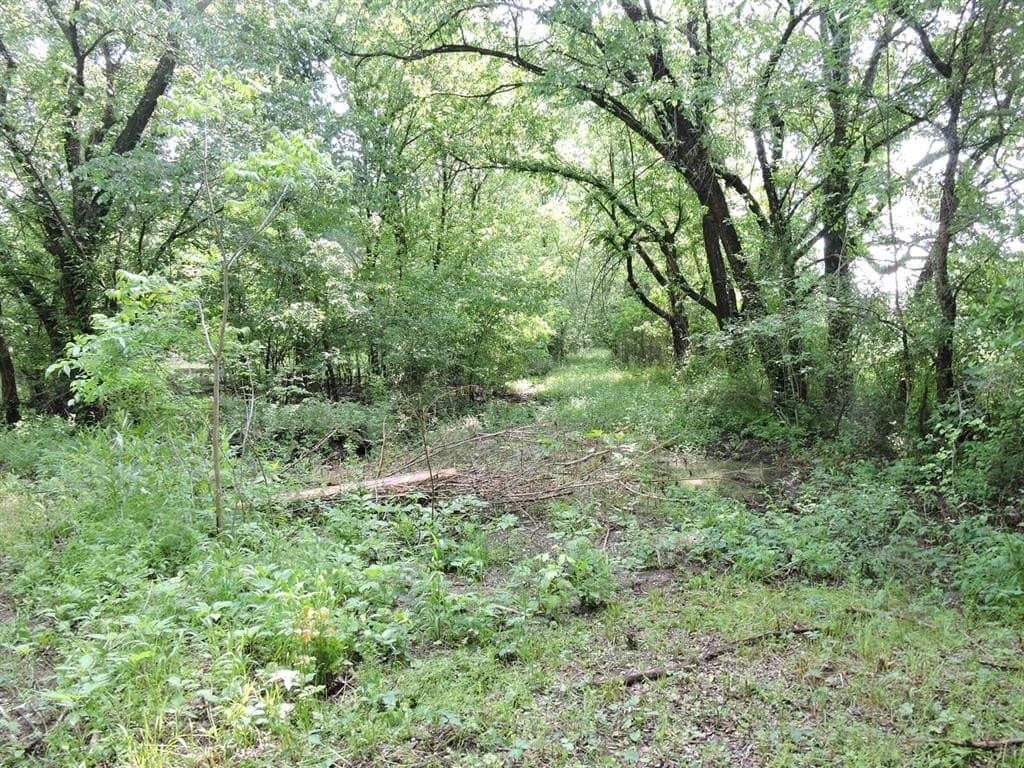 13.58 acres in Fannin County - photo 5