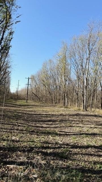 13.58 acres in Fannin County - photo 15