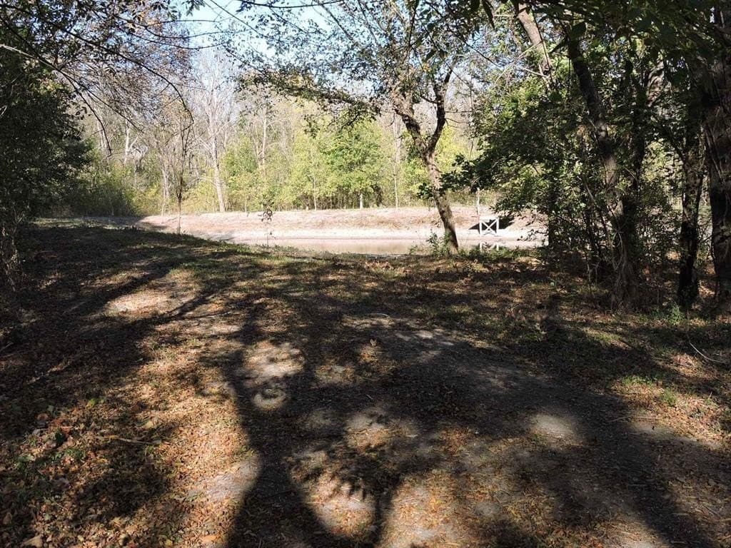 13.58 acres in Fannin County - photo 10