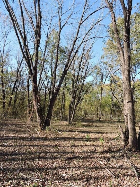 13.58 acres in Fannin County - photo 23