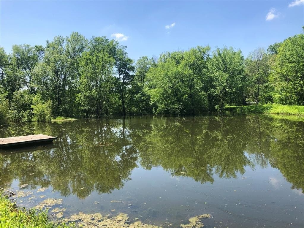 13.58 acres in Fannin County - photo 6