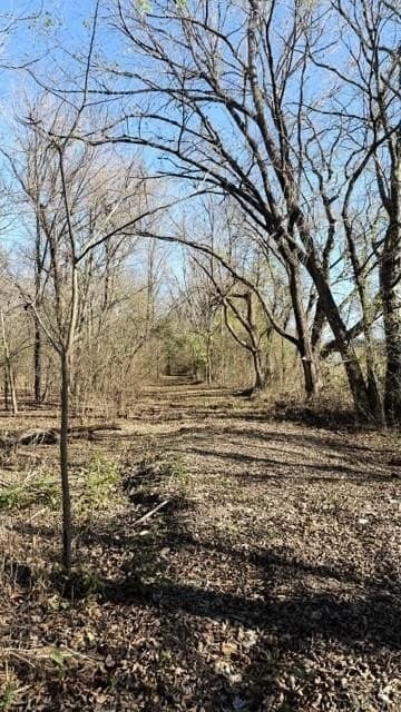 13.58 acres in Fannin County - photo 19