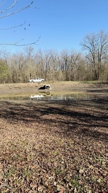 13.58 acres in Fannin County - photo 16