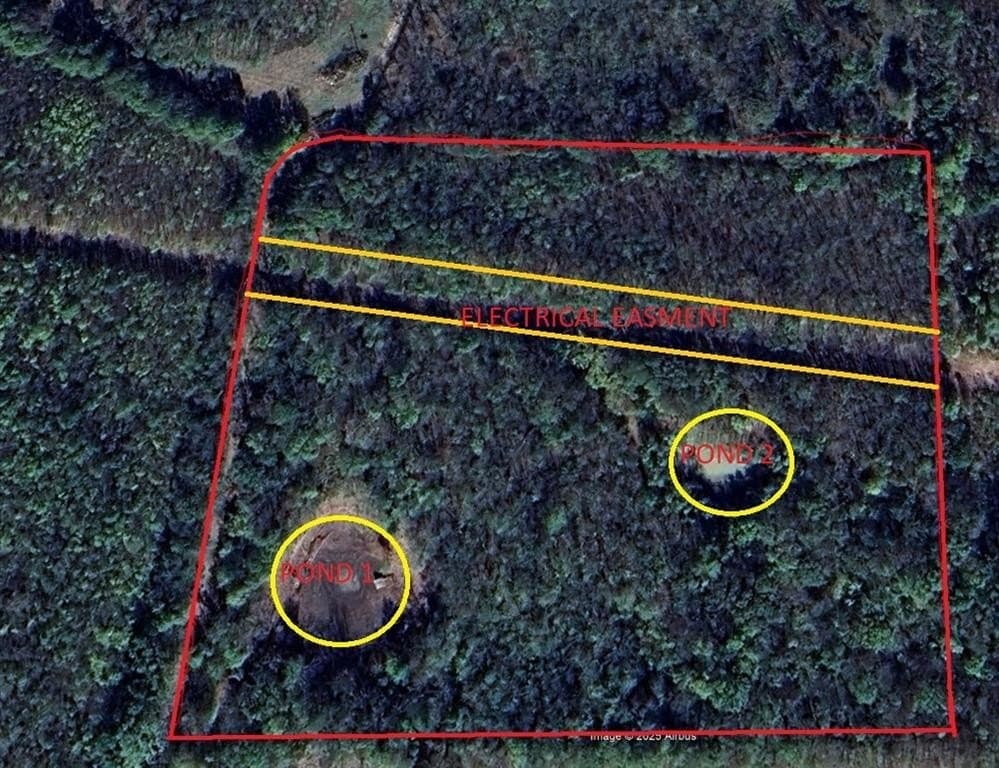 13.58 acres in Fannin County - photo 13