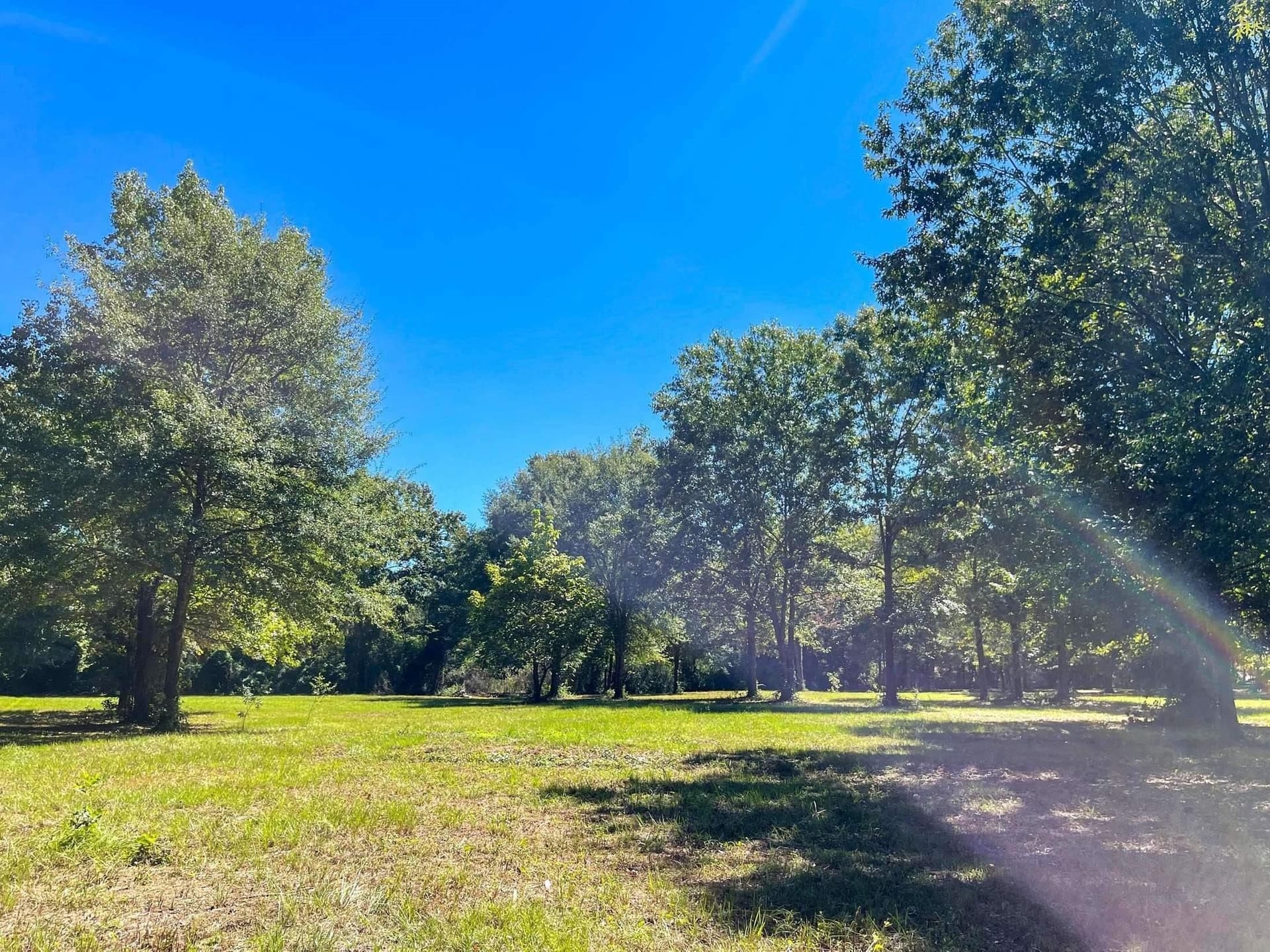 6.33 acres in Morris County - photo 4