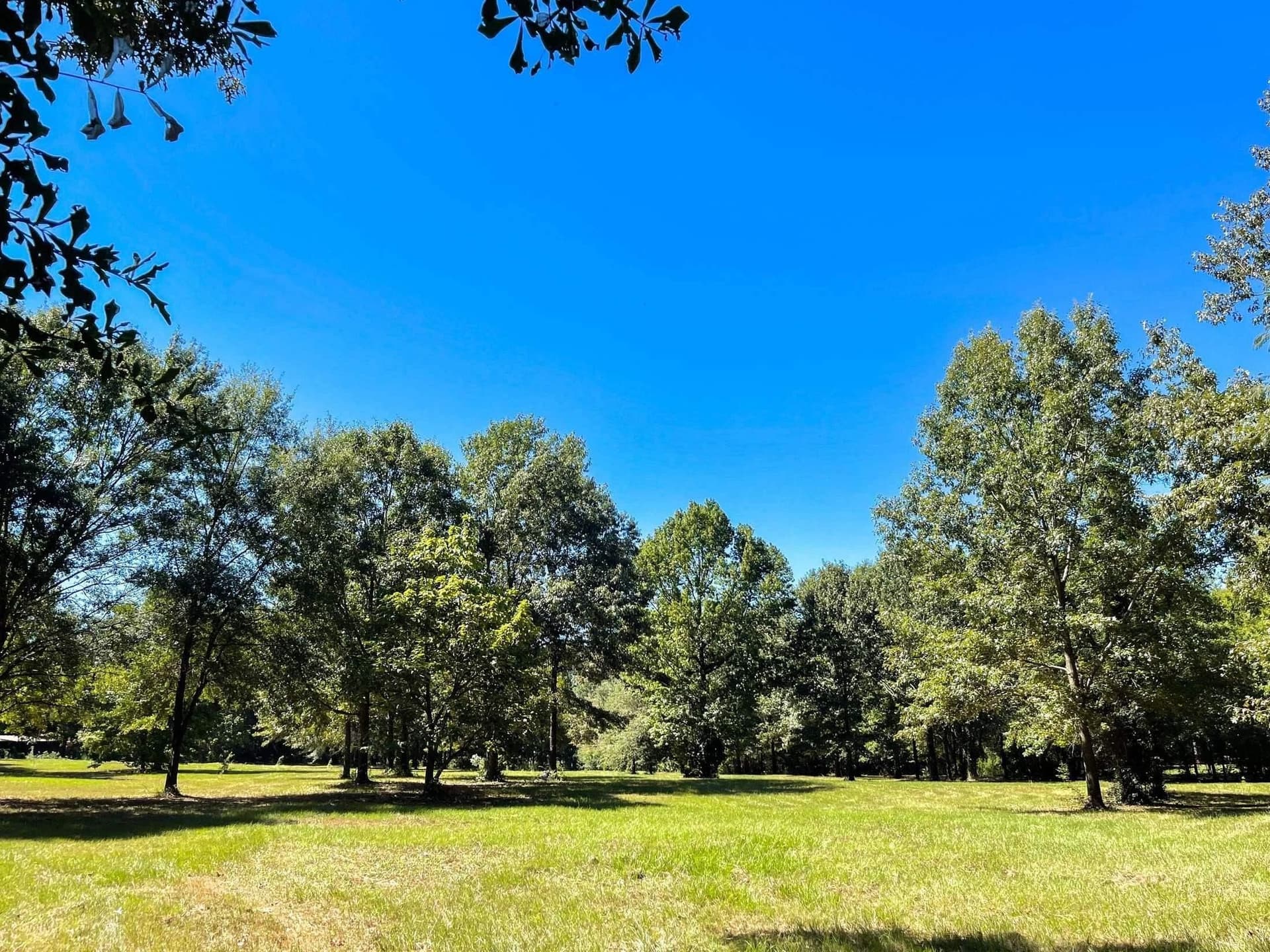 6.33 acres in Morris County - photo 3