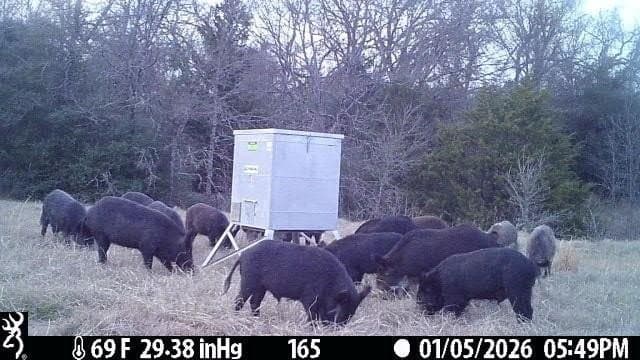 165.83 acres in Robertson County - photo 16