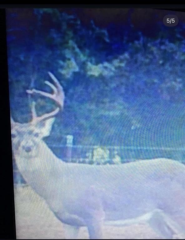 165.83 acres in Robertson County - photo 29
