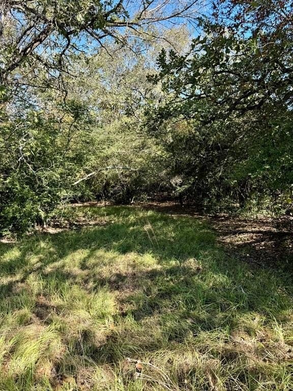 165.83 acres in Robertson County - photo 17