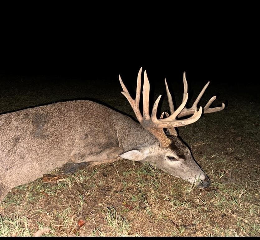 165.83 acres in Robertson County - photo 25