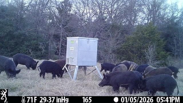 165.83 acres in Robertson County - photo 6