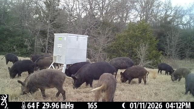 165.83 acres in Robertson County - photo 39