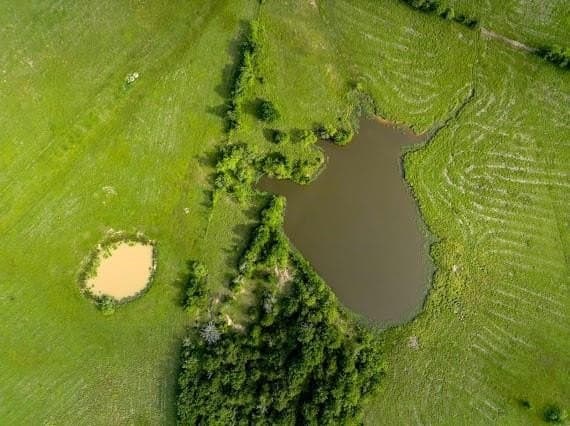165.83 acres in Robertson County - photo 9