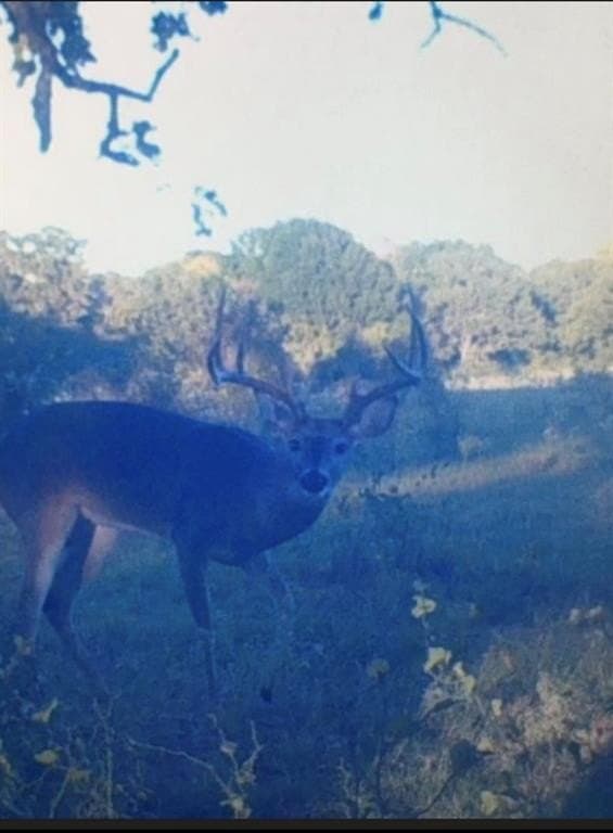 165.83 acres in Robertson County - photo 13