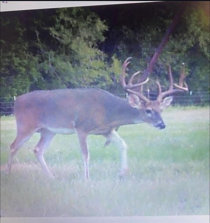 165.83 acres in Robertson County - photo 8
