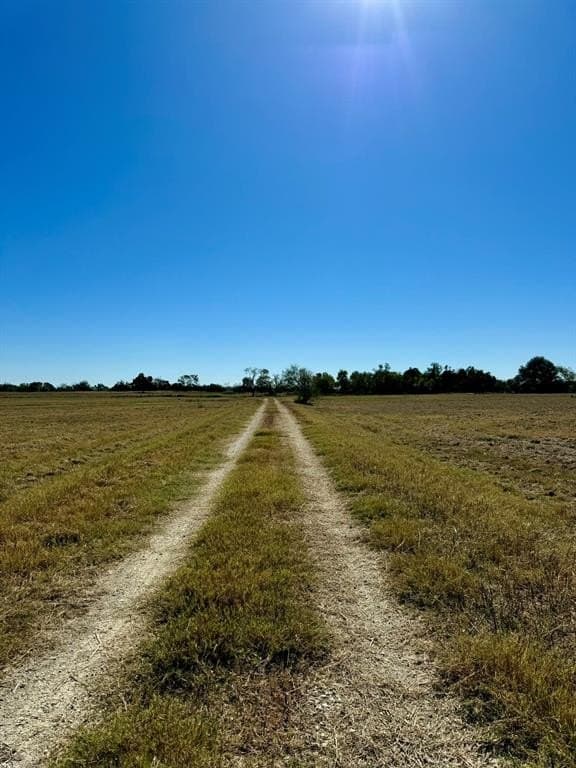 165.83 acres in Robertson County - photo 5