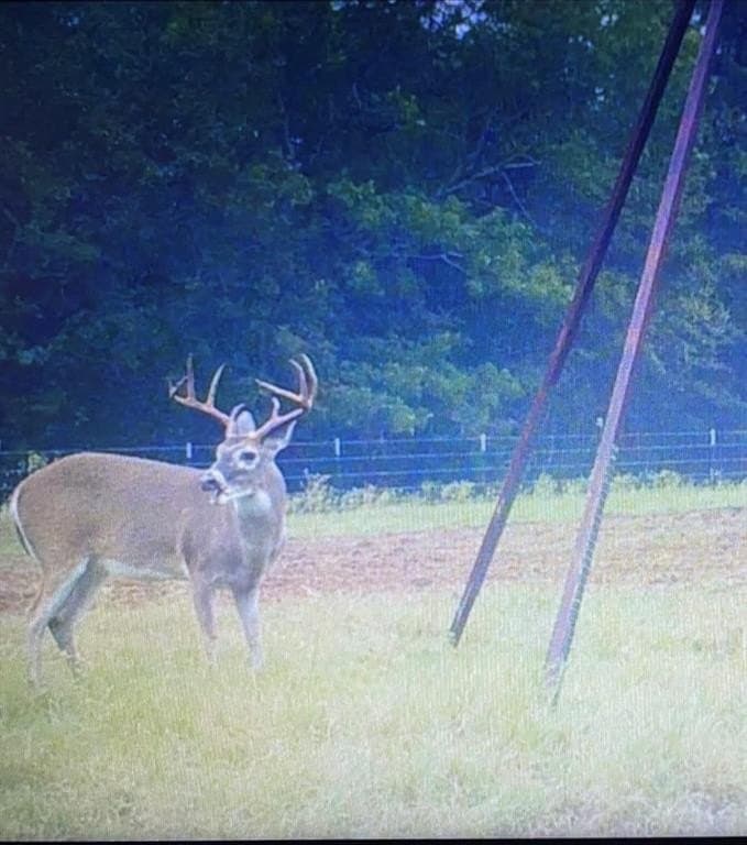 165.83 acres in Robertson County - photo 28