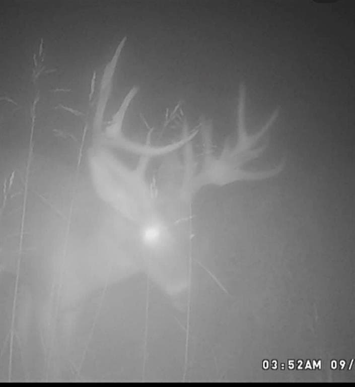 165.83 acres in Robertson County - photo 30