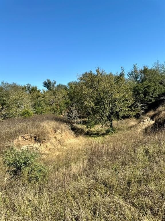 165.83 acres in Robertson County - photo 14