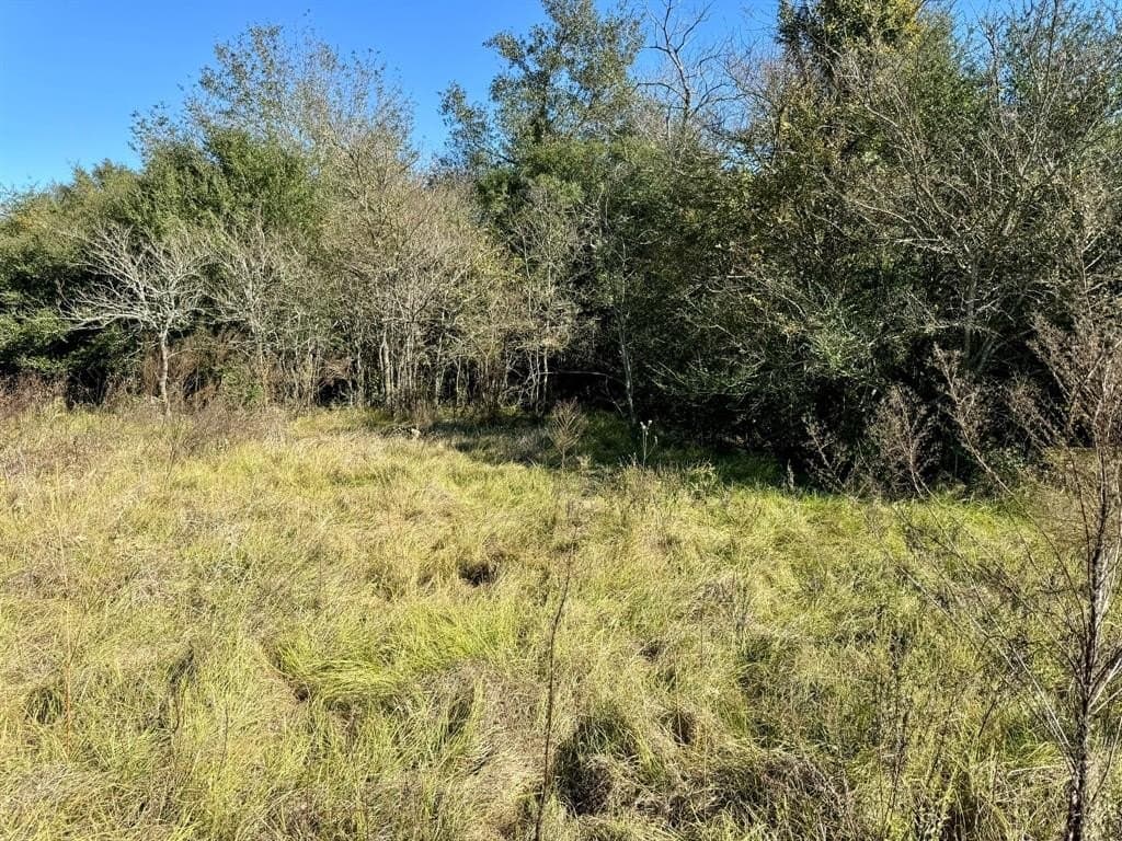 165.83 acres in Robertson County - photo 12