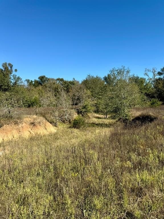 165.83 acres in Robertson County - photo 15