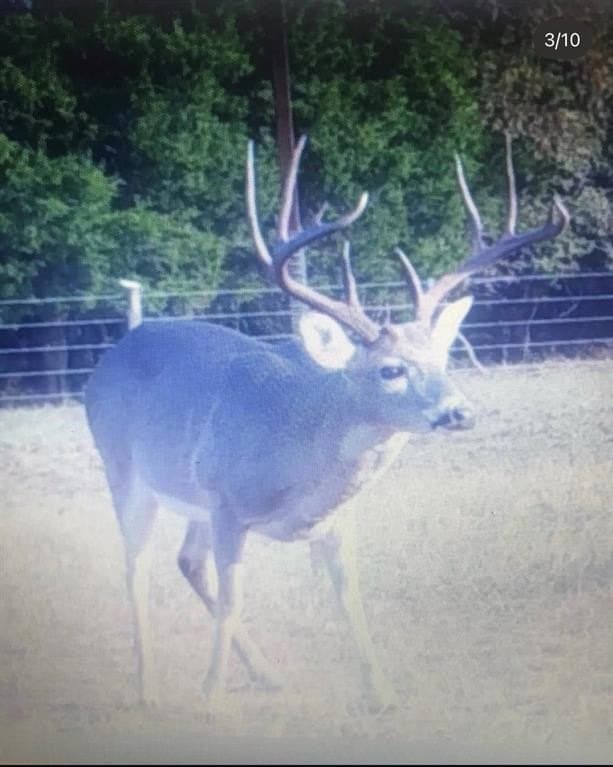 165.83 acres in Robertson County - photo 31